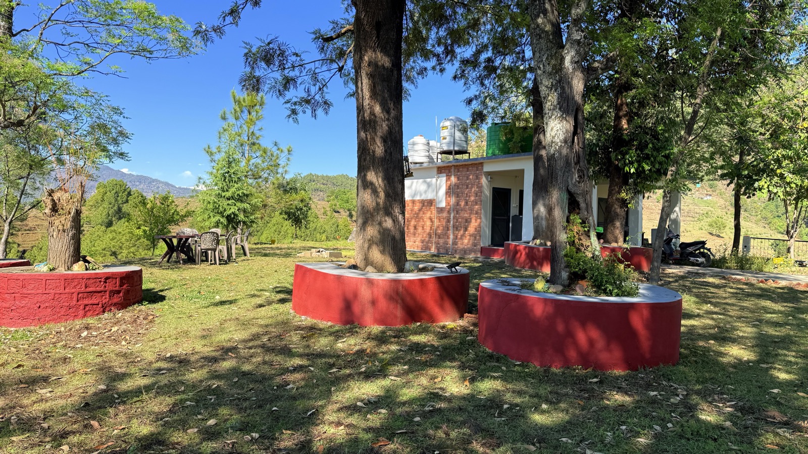Garden with trees and mountains