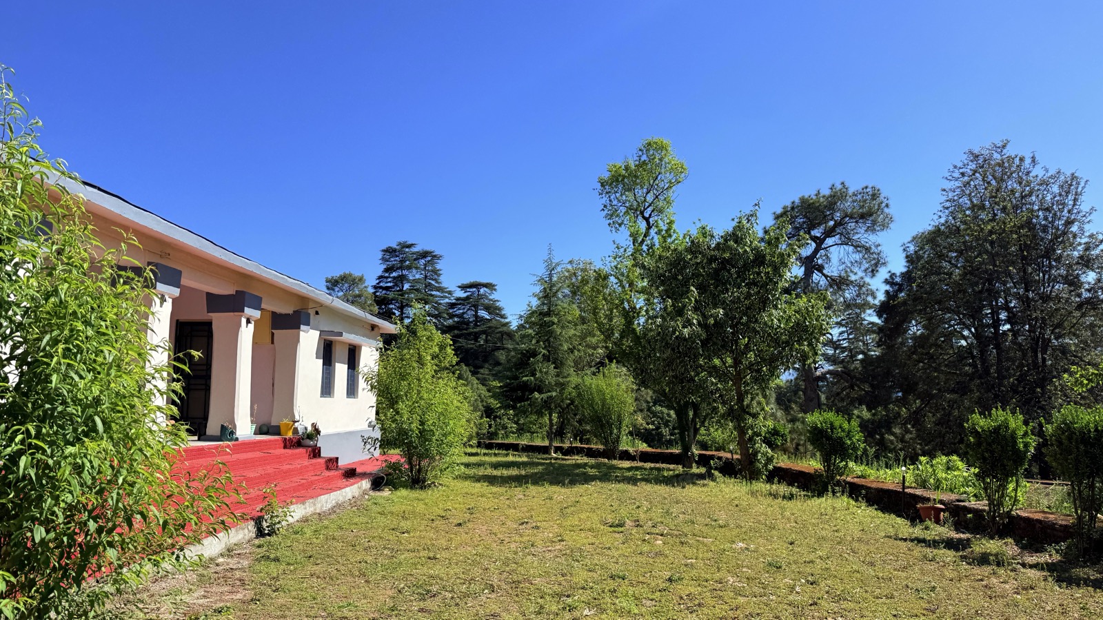 Bungalow side view with garden