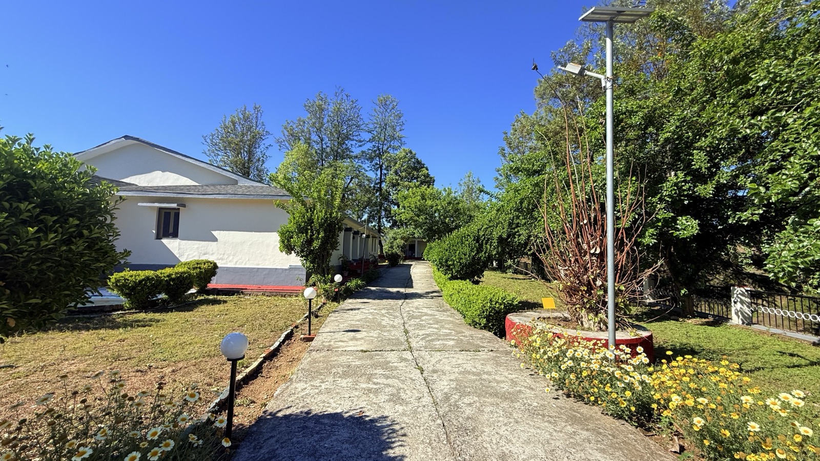 Garden pathway with lamp posts